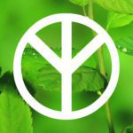 Brug din sundhed til noget sundt