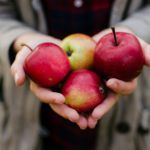 Vi har glemt, hvad ernæring handler om