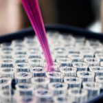 Corona & Død: Den vigtige forskel på "relateret" og "forårsaget"