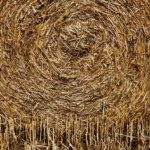 Sandheden er derude - som en nål i en høstak