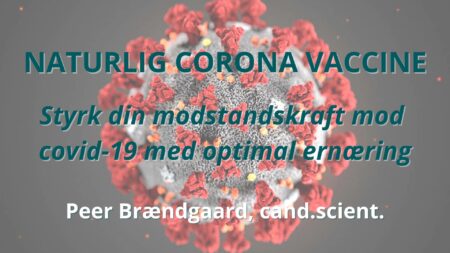 E-bog: Naturlig Corona Vaccine
