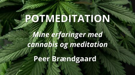 E-bog: Potmeditation