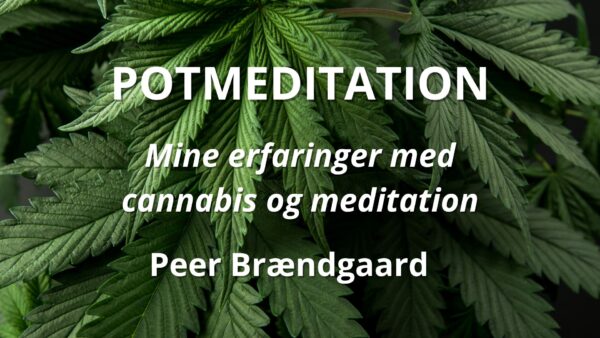 E-bog: Potmeditation
