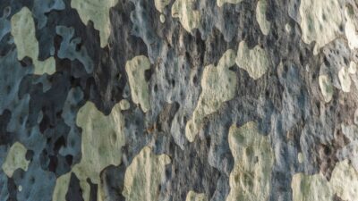 Camouflage + Udskamning: Her er besættelsesmagtens strategi