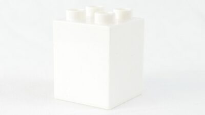 Jøder leder den ekstreme højrefløj