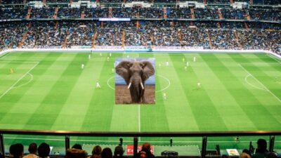 Elefanten på fodboldbanen