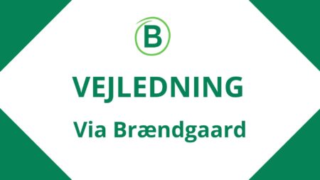 Vejledning
