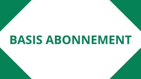 Basis abonnement pr. år