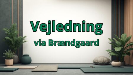 Vejledning